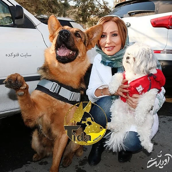 افشاگری پرستو صالحی از علت مهاجرت خود با ناگفته ها